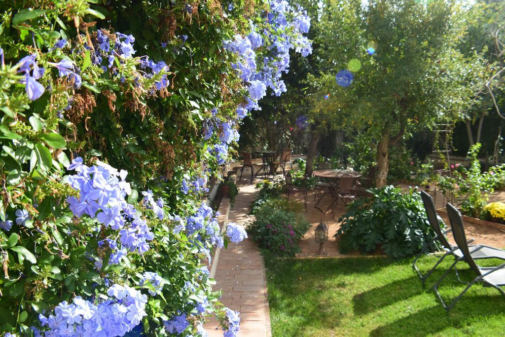 Apartamentos Carmen de Ramilla Granada Exterior foto